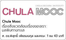 เรื่องสิ่งแวดล้อมเรื่องของเรา: มลพิษทางทะเล