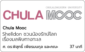 เรื่องสิ่งแวดล้อมเรื่องของเรา: Shelldon ชวนน้องรักษ์โลก เรื่องมลพิษทางทะเล